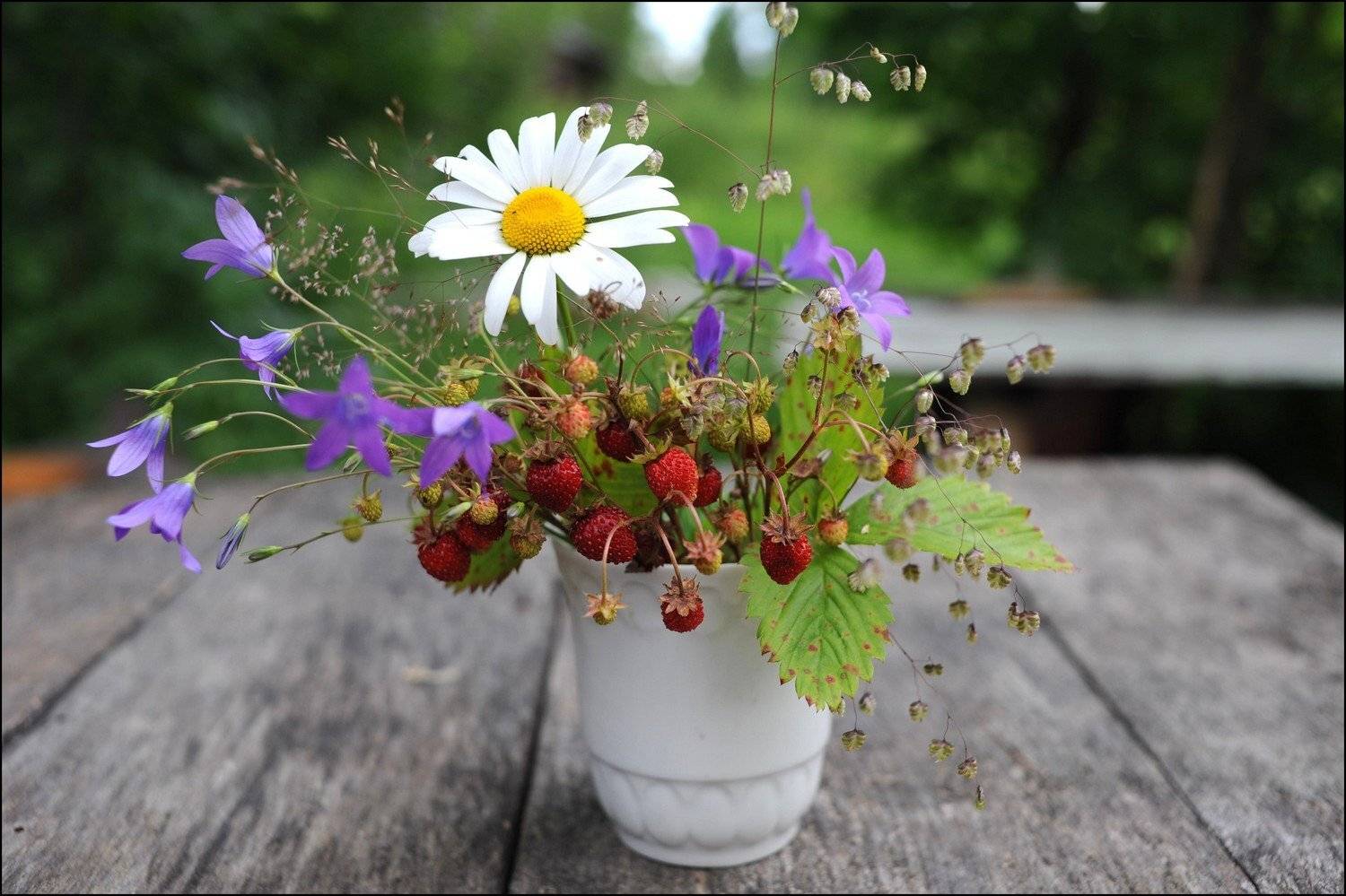 , Дарья Васильева