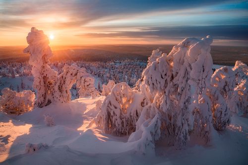 Предчувствие весны