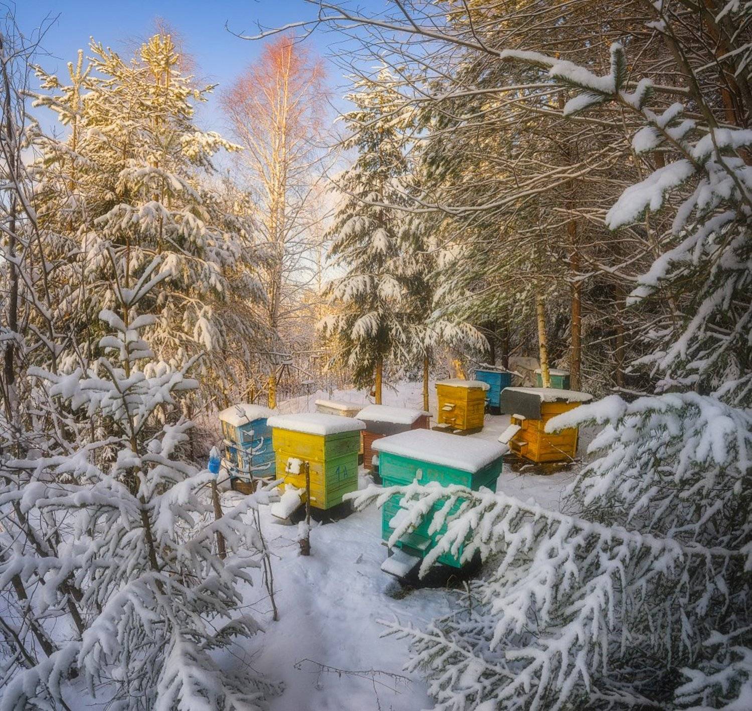 , Устюжанин Михаил