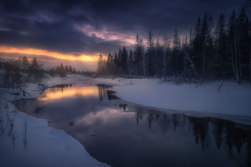 Навстречу свету