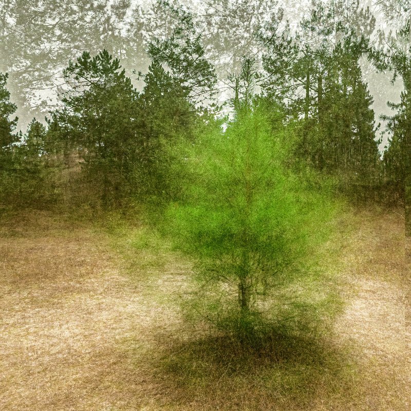 Услышать тишину, дыханье ветра... фото превью