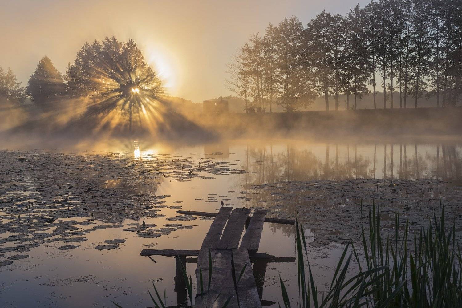 пейзаж,природа,фотография,красота,сергейкорнев, Сергей Корнев