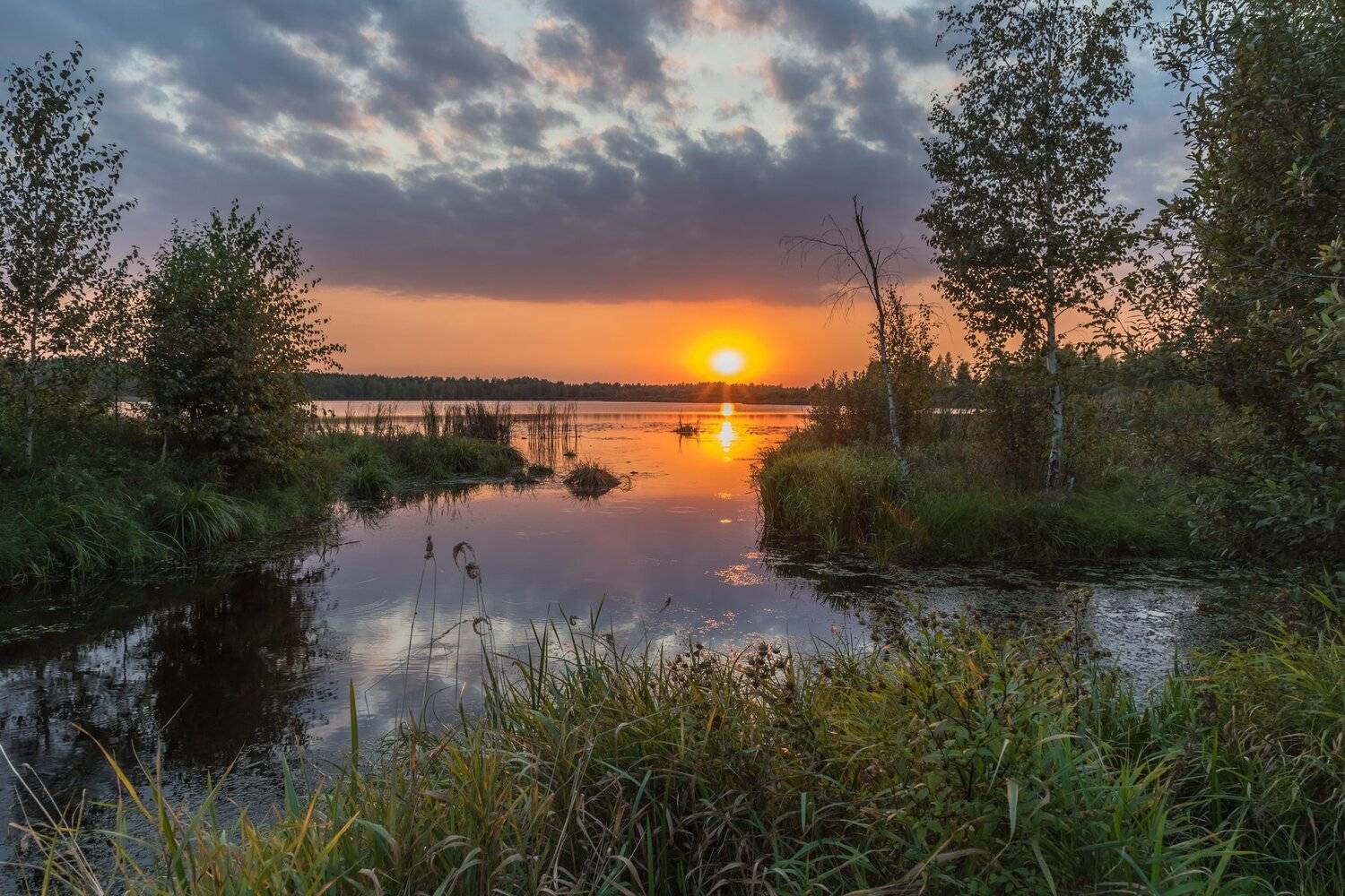 , Евгений Патрешов