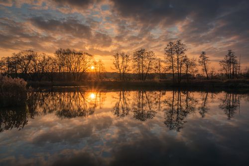 Reflection