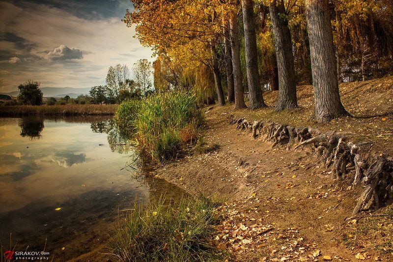 lake, bulgaria, lesichevo, forest, autumn, landscape, nature, cloud, vacation, tourism, nsirakov Магия утра фото превью