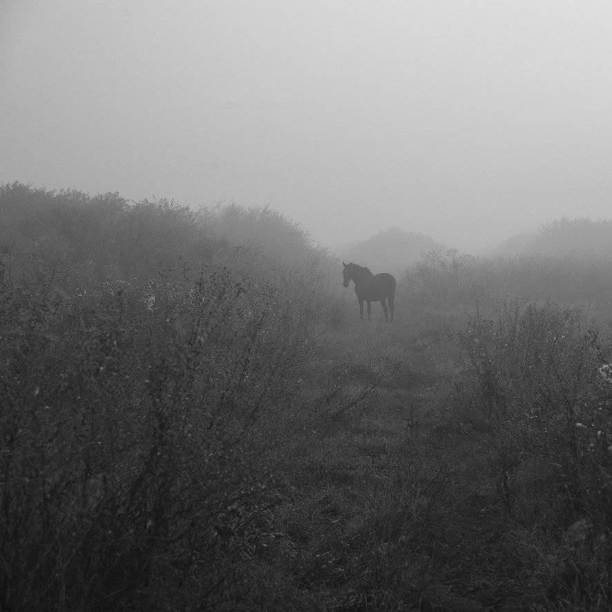 , Юрий Наумович