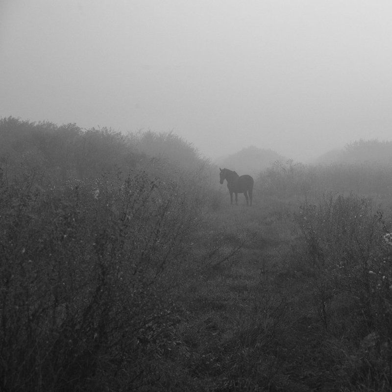 Сон фото превью