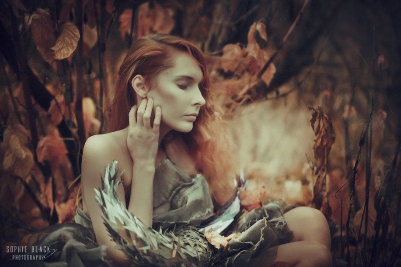 Ajajai фото превью