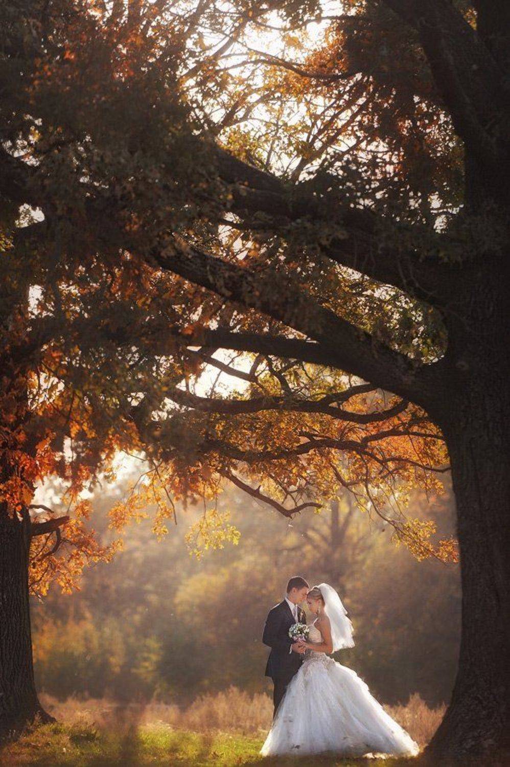 , Иван Заманухин