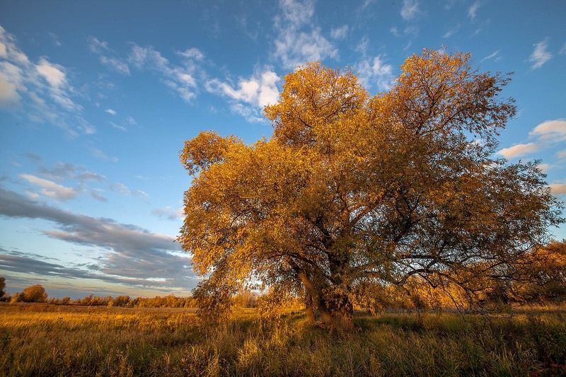 Прощаясь с осенью. фото превью