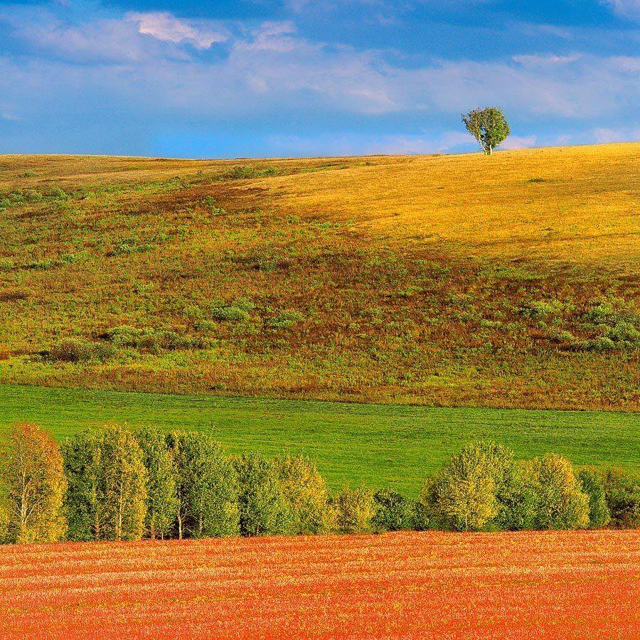 , Качурин Алексей