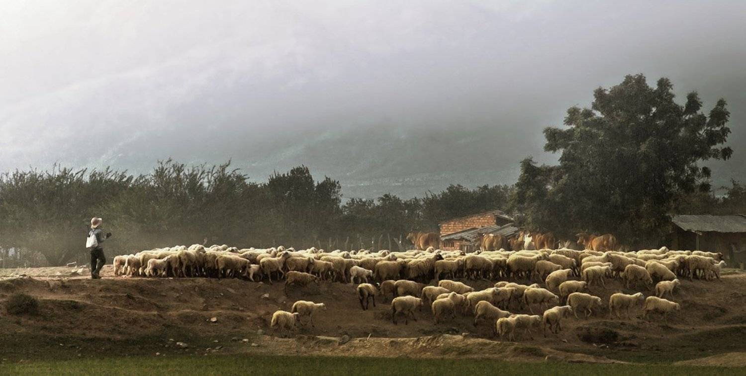 hai, вьетнам, Hai Trinh Xuan