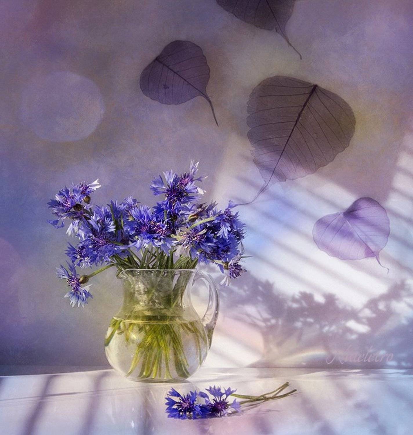 , Наталья Кузнецова (Nateletro)