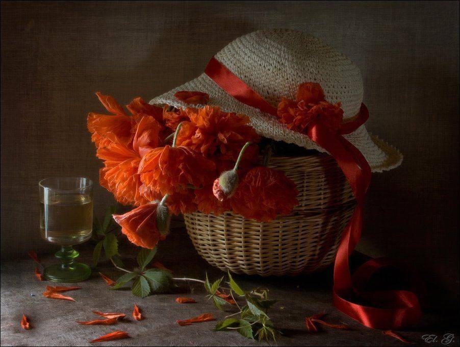 натюрморт, мак, шляпка, лето, лимонад, красный, still, life, poppy, red, hat, summer, lemonade, El. G.