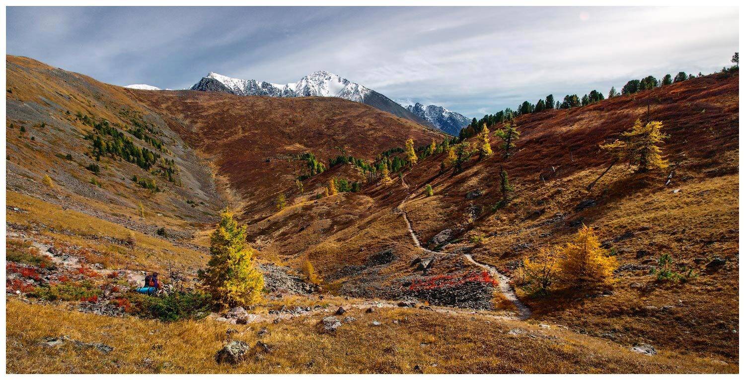 , Владимир Ляпин