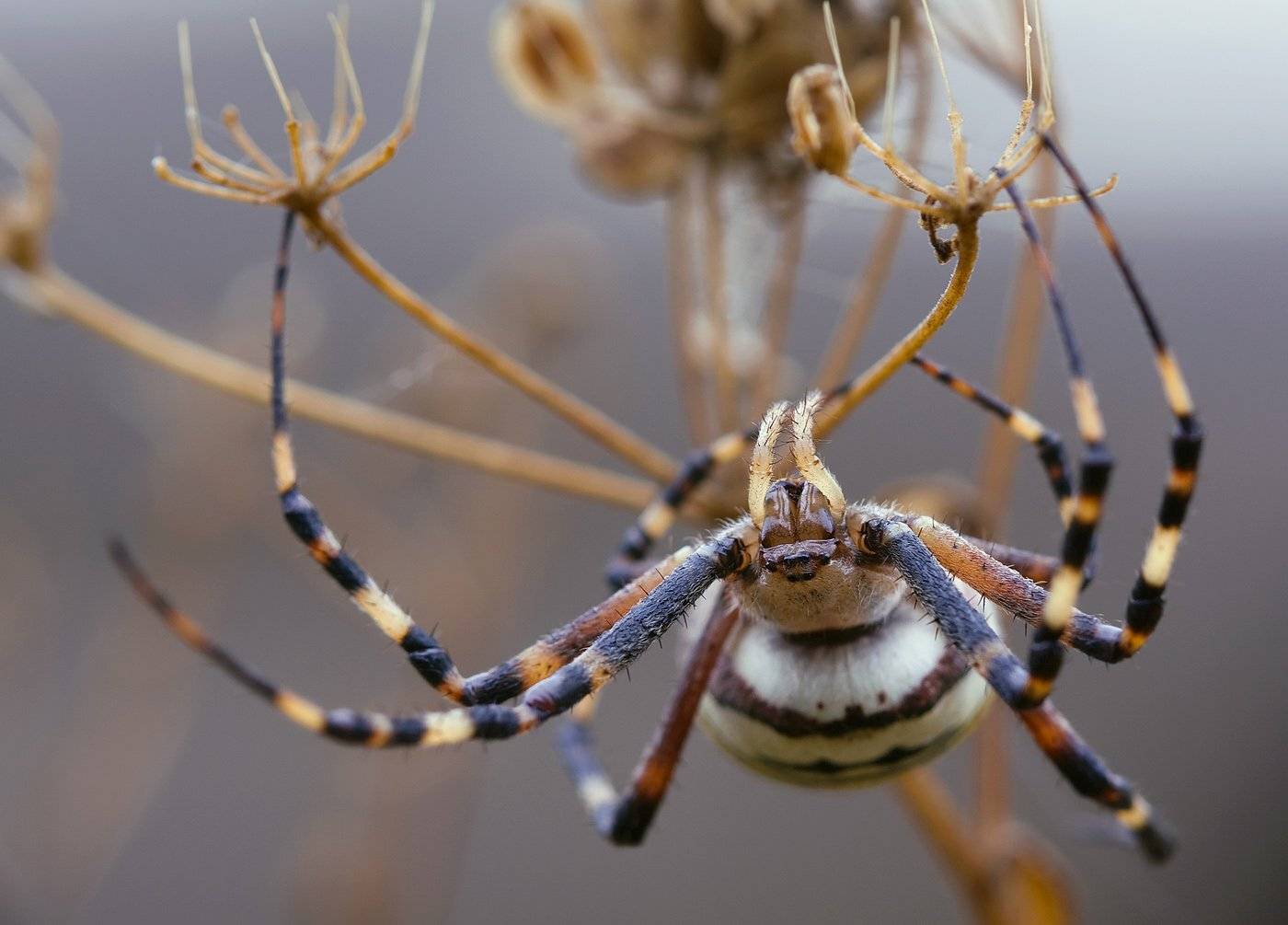 , Андрей Канышев