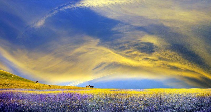 Colorful Freedom фото превью