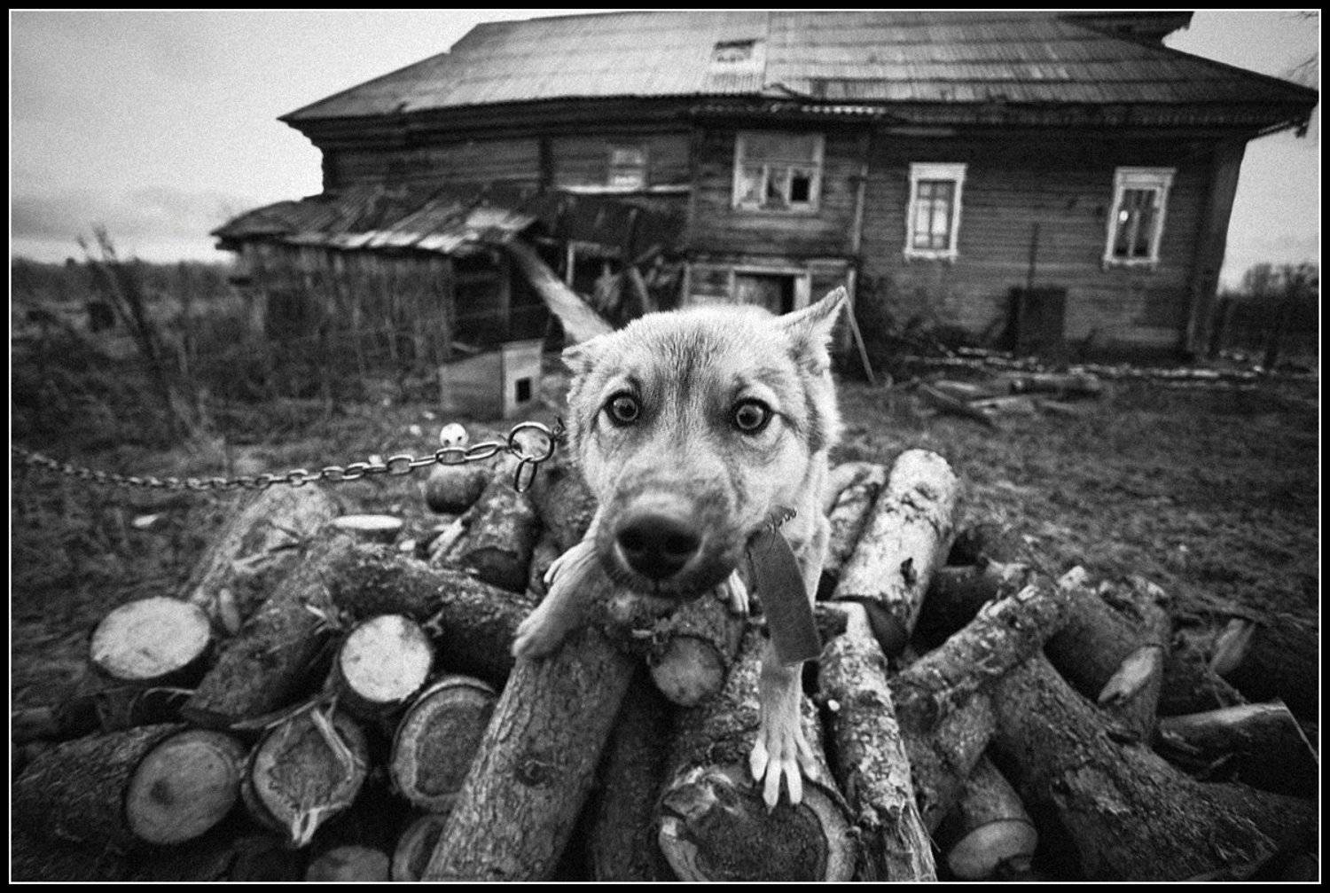 , Олег Дунаев