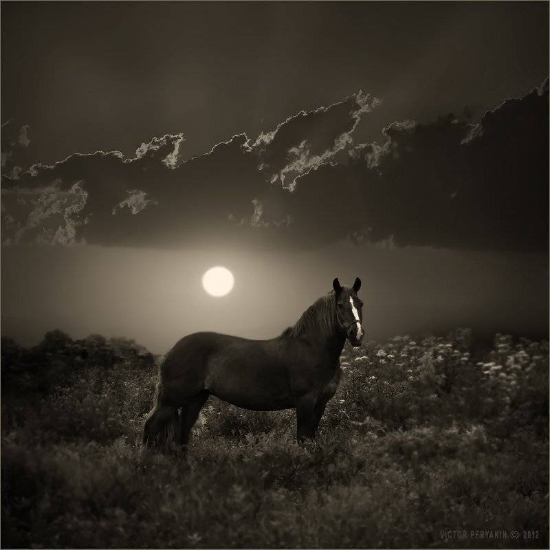 , Виктор Перякин