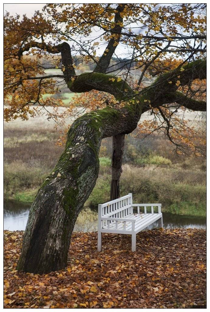 , Владимир K.