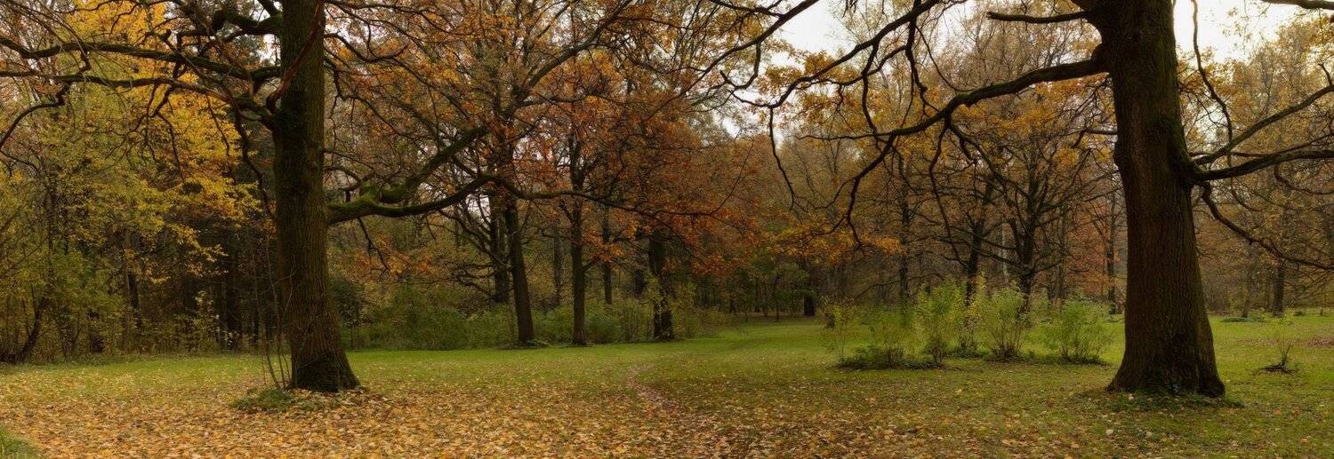 , Сергей Седов