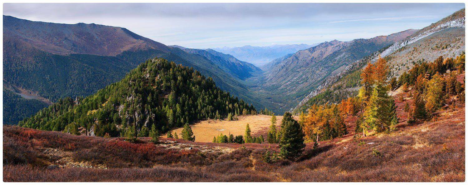 , Владимир Ляпин