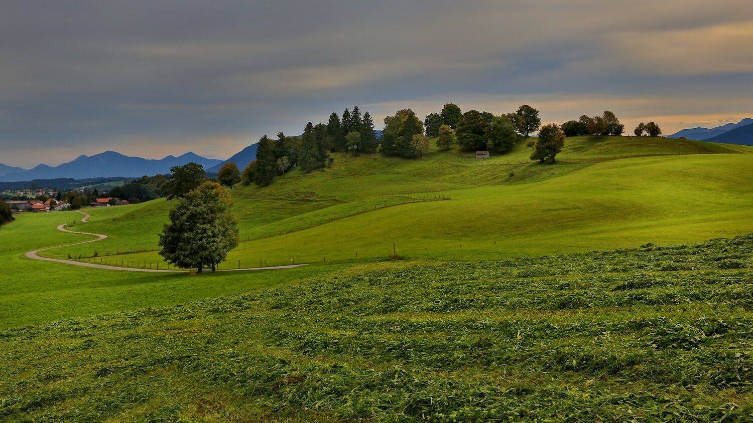 , СПИРИДОНОВ НИКОЛАЙ