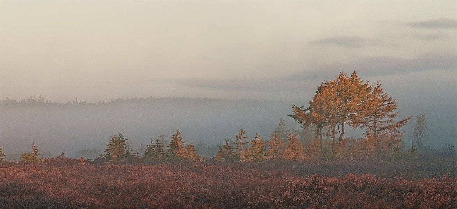 туман, утро, Руслан Бабин