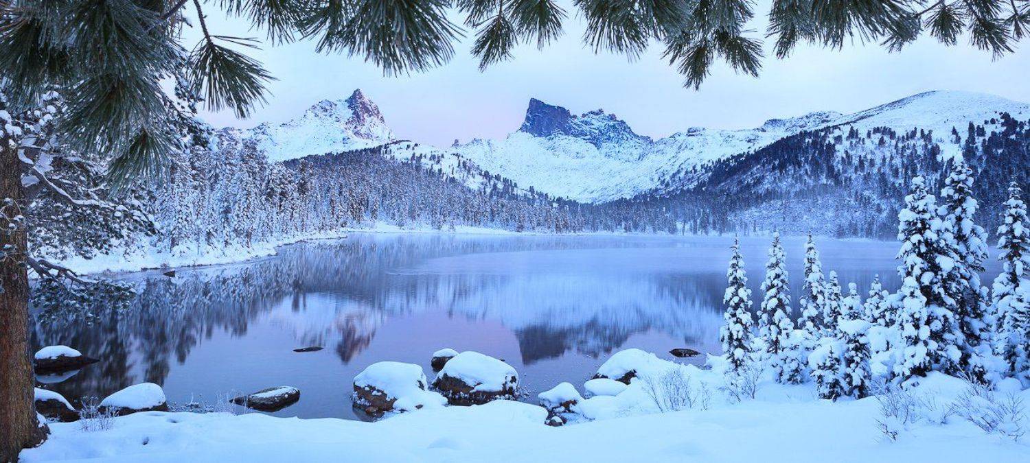 , Надежда Звягина / New Zealand