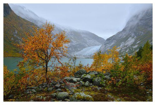 Осенний Нигардсбрин