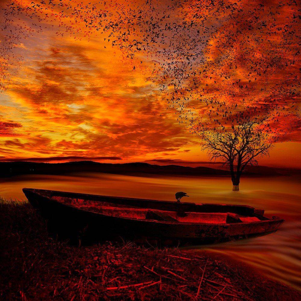 , Caras Ionut