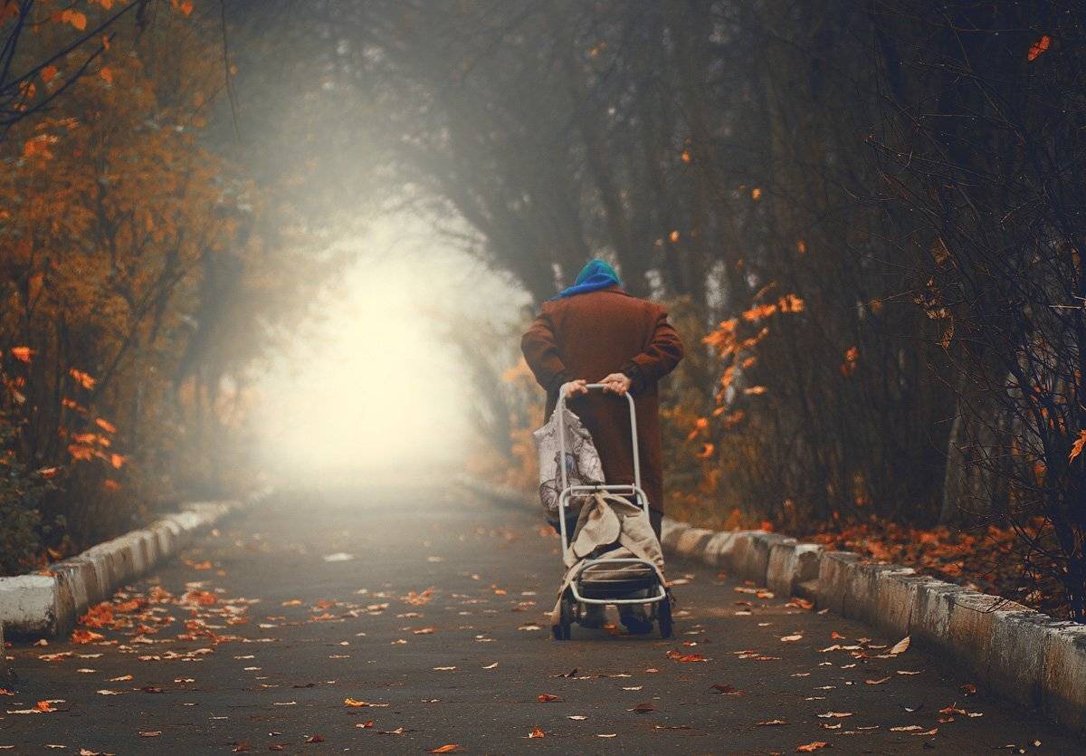 , светлана голицына