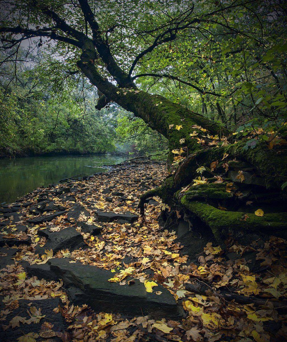, Виталий Башкатов