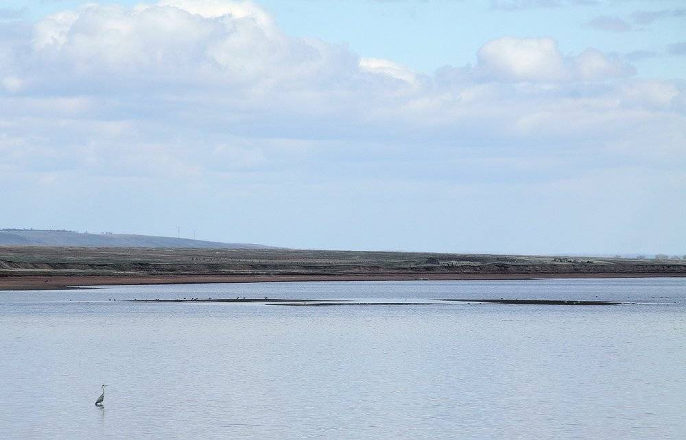 , Николай Морский