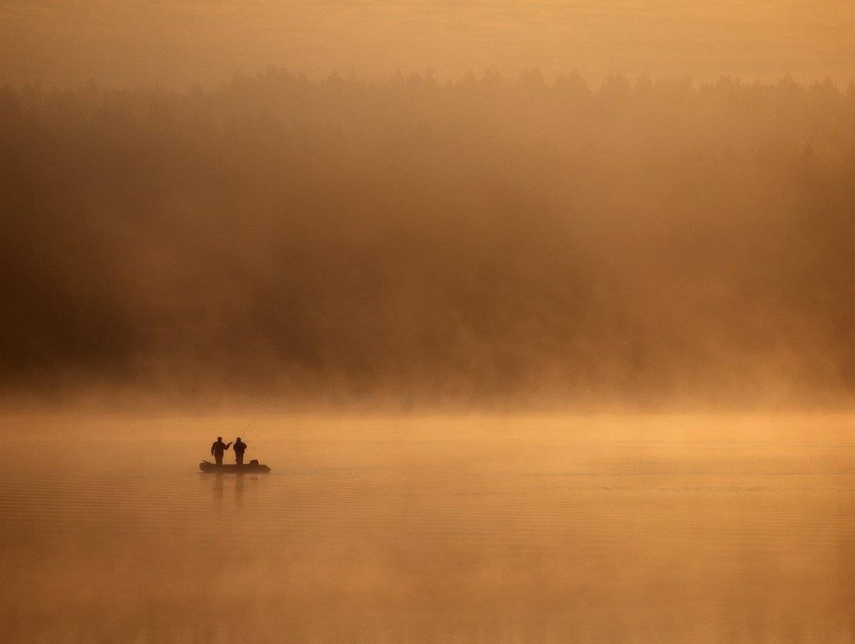 , Владимир Перепечаев
