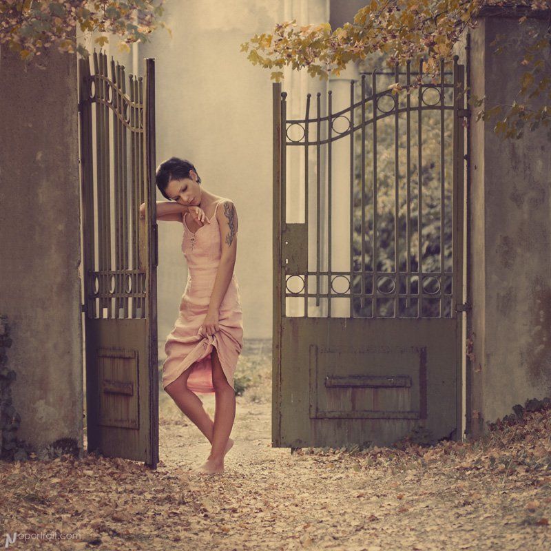 ...... фото превью