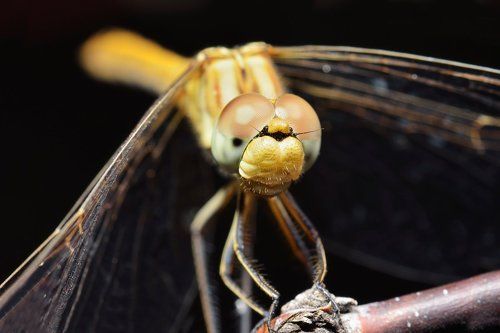 Вертолетик