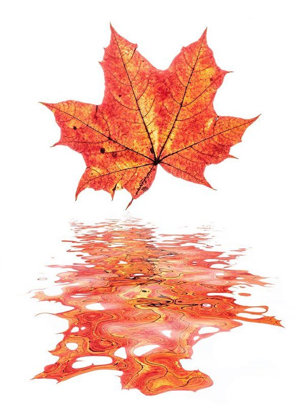 Осенние пляски фото превью