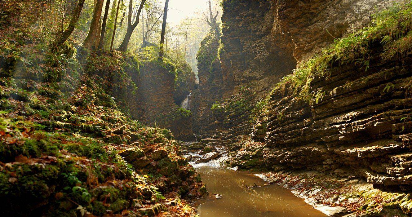 , Вадим de-Zigner Малышев
