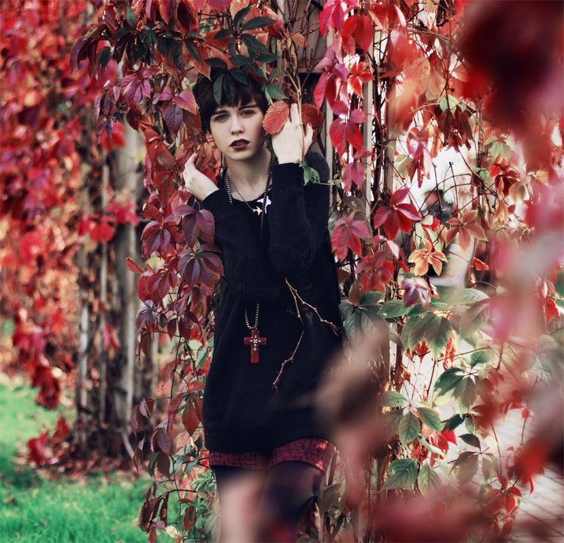 Мишель. фото превью