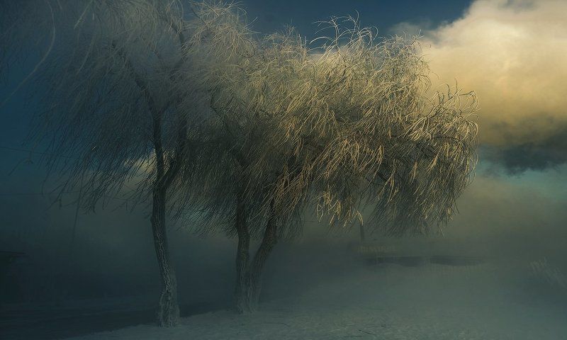 Морозное утро фото превью