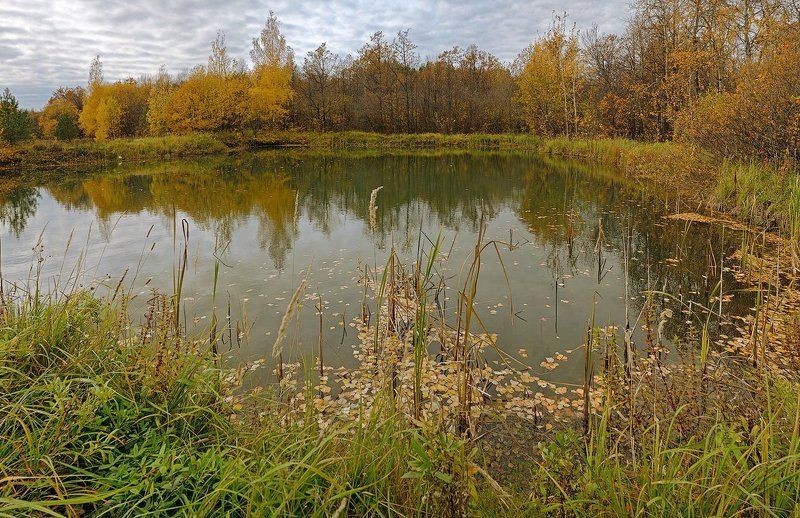 Ходит осень. фото превью