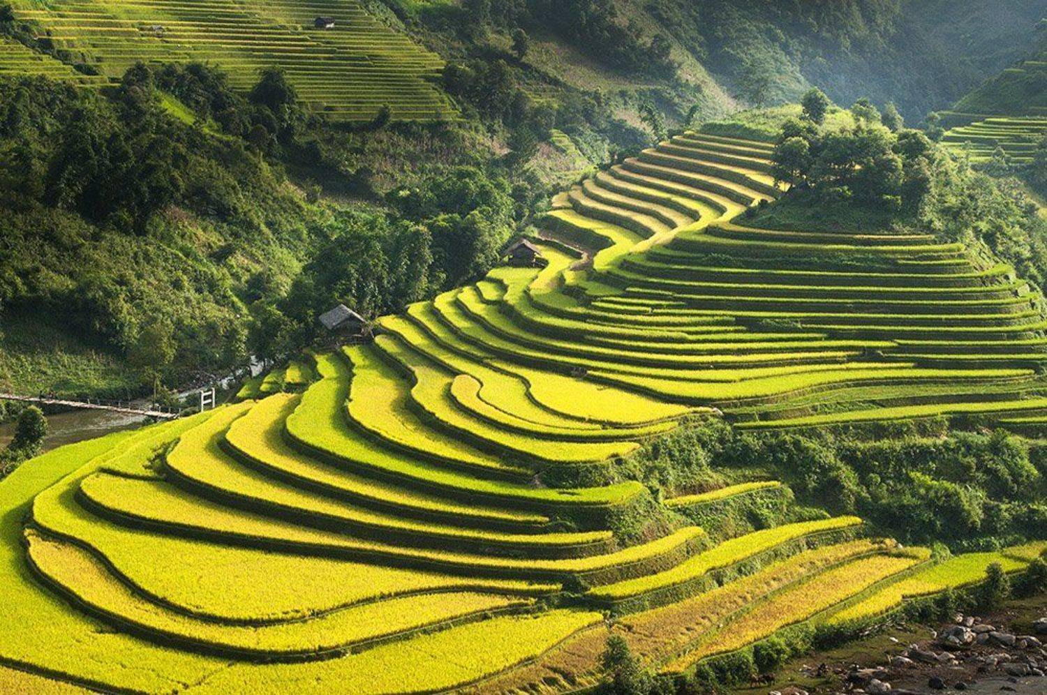 hai, vietnam, mucangchai, вьетнам,, Hai Trinh Xuan