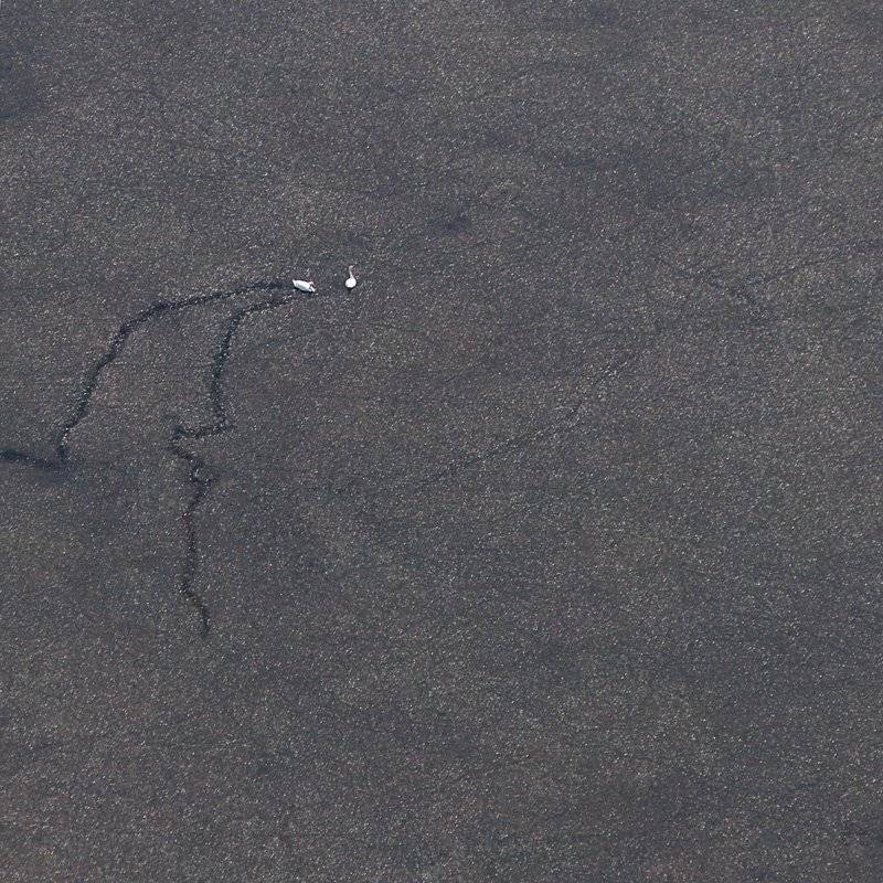 , Сидоренко Алексей