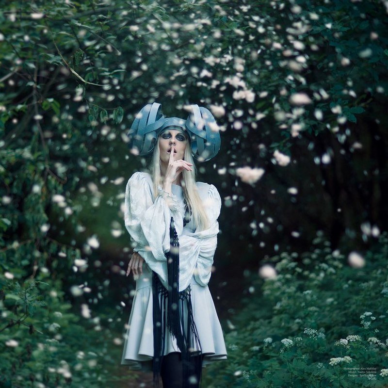 фото превью