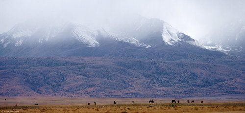 А наверху метет...