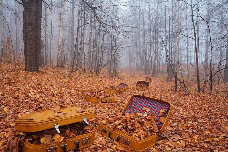 О том, как осень в отпуск собиралась фото превью