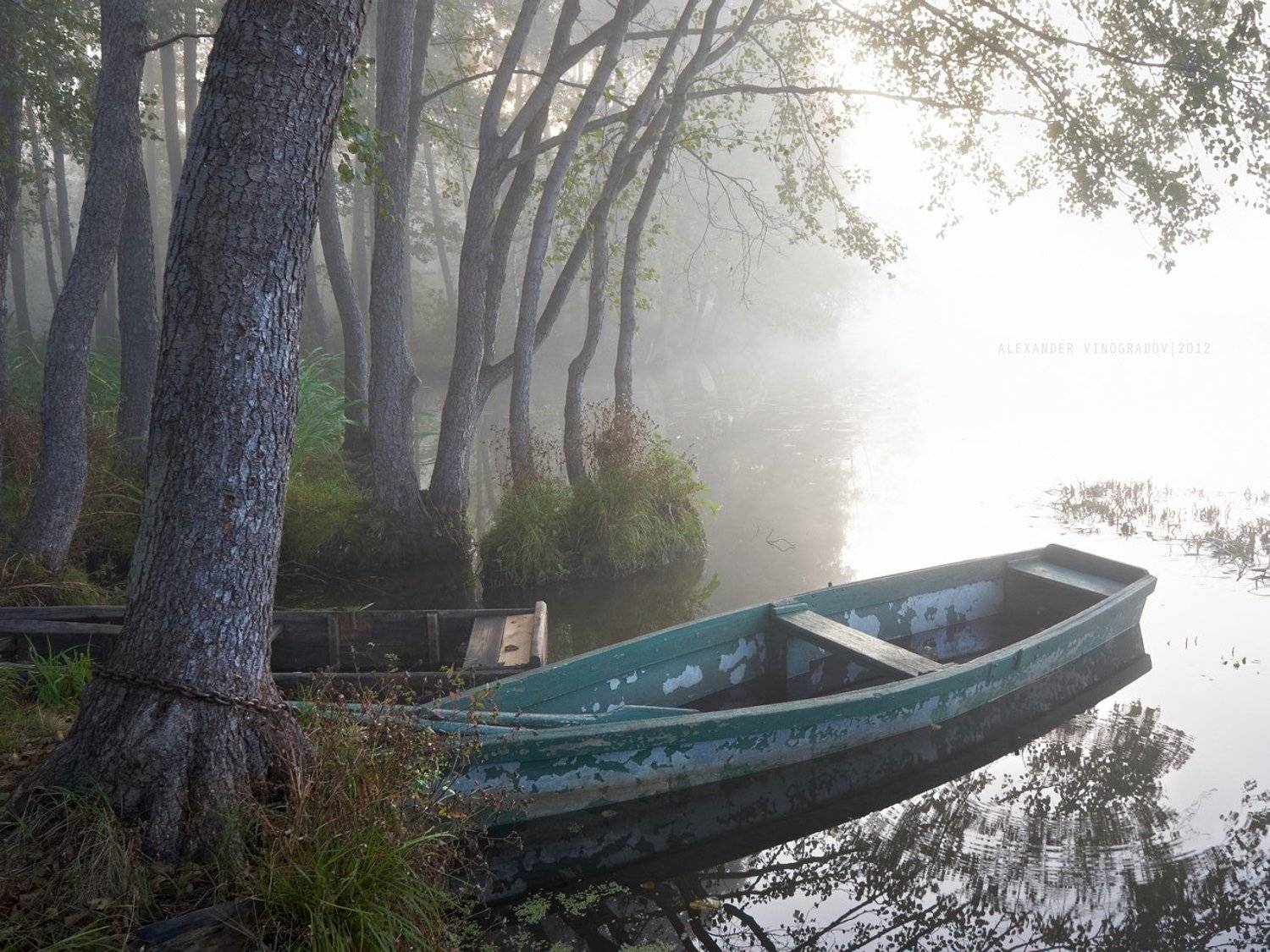 , Александр Виноградов