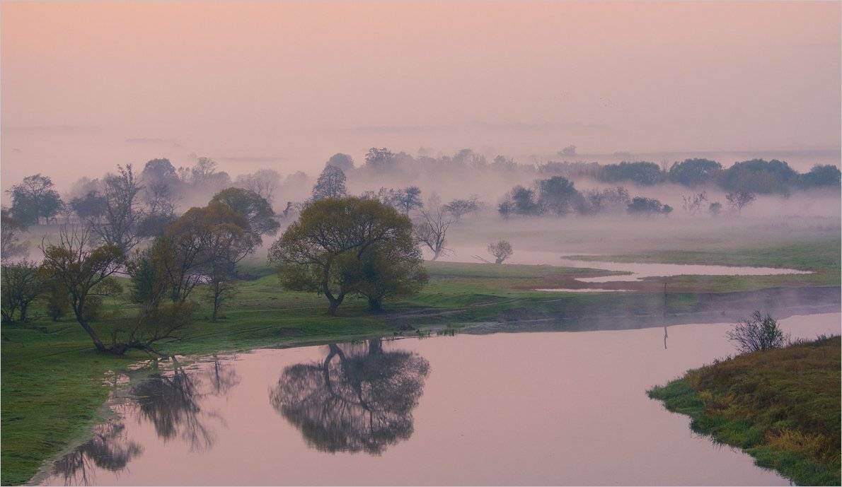 , Николай Шахманцир