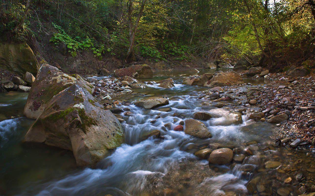 осень, река, бугунжа, лес, Николай Мысливцев